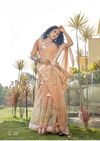 Phooljhadi Vol 14 By Triveni Swarovski Organza Sarees Wholesale Shop In Surat